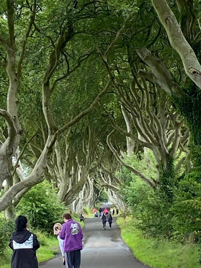 The Old Vicarage Ni B&B Ballywalter Luaran gambar